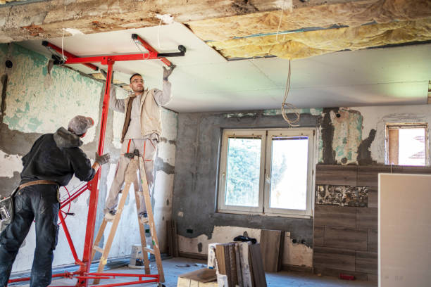 Best Best Insulation Companies  in Anderson Island, WA